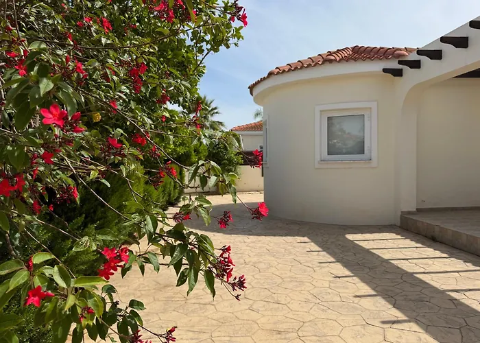 Sunset Agia Thekla ヴィラ *